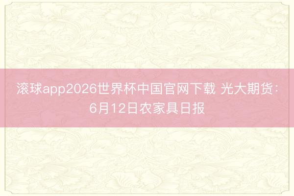 滚球app2026世界杯中国官网下载 光大期货：6月12日农家具日报