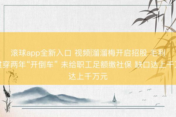 滚球app全新入口 视频|溜溜梅开启招股 毛利率贯穿两年“开倒车” 未给职工足额缴社保 缺口达上千万元