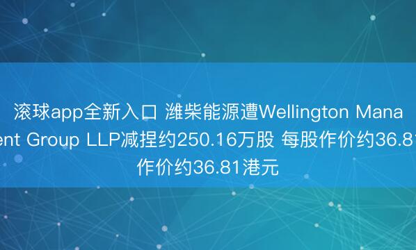 滚球app全新入口 潍柴能源遭Wellington Management Group LLP减捏约250.16万股 每股作价约36.81港元