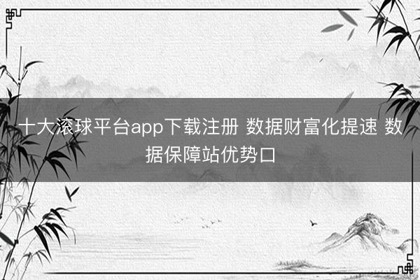十大滚球平台app下载注册 数据财富化提速 数据保障站优势口