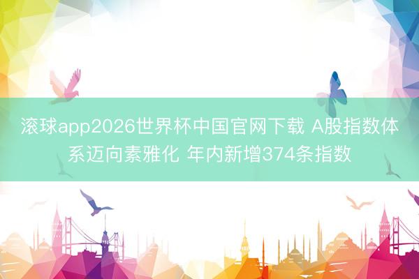 滚球app2026世界杯中国官网下载 A股指数体系迈向素雅化 年内新增374条指数