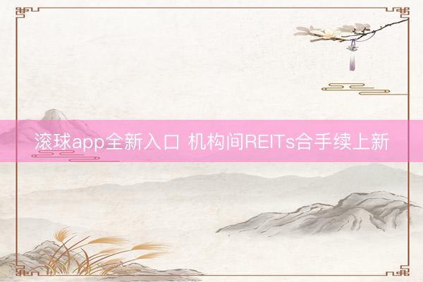 滚球app全新入口 机构间REITs合手续上新