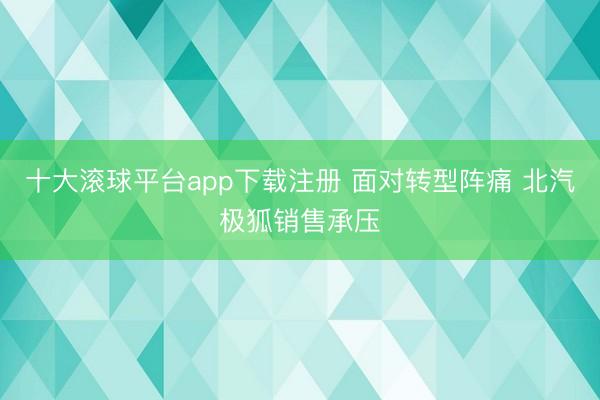 十大滚球平台app下载注册 面对转型阵痛 北汽极狐销售承压