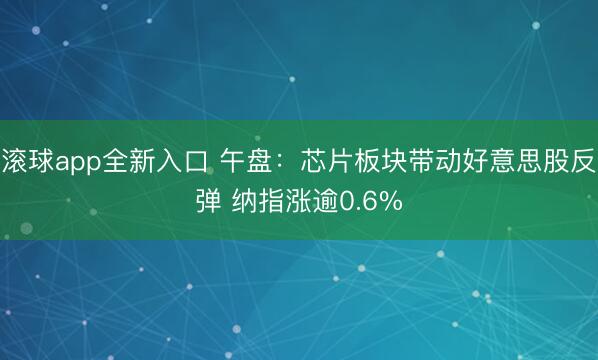 滚球app全新入口 午盘：芯片板块带动好意思股反弹 纳指涨逾0.6%
