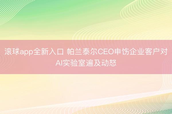 滚球app全新入口 帕兰泰尔CEO申饬企业客户对AI实验室遍及动怒