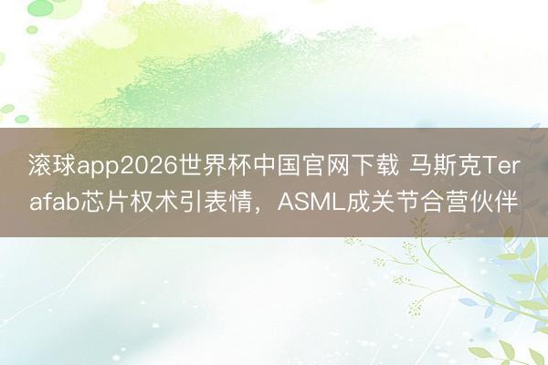 滚球app2026世界杯中国官网下载 马斯克Terafab芯片权术引表情，ASML成关节合营伙伴