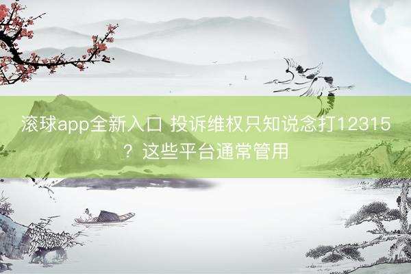 滚球app全新入口 投诉维权只知说念打12315？这些平台通常管用