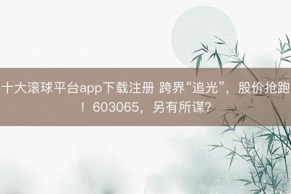 十大滚球平台app下载注册 跨界“追光”，股价抢跑！603065，另有所谋？