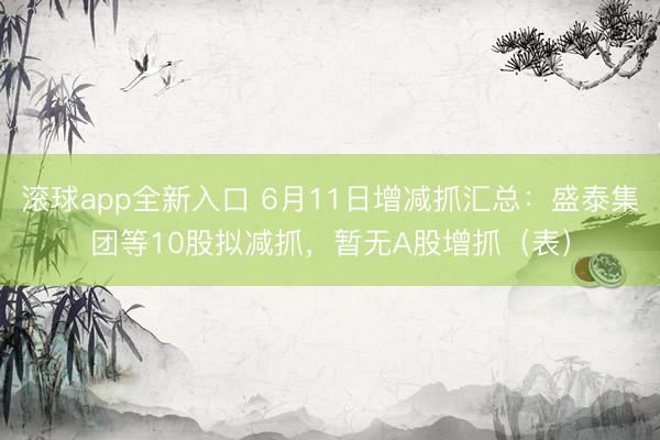 滚球app全新入口 6月11日增减抓汇总：盛泰集团等10股拟减抓，暂无A股增抓（表）