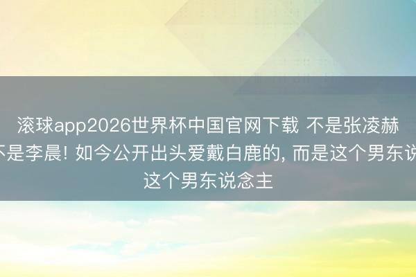 滚球app2026世界杯中国官网下载 不是张凌赫! 也不是李晨! 如今公开出头爱戴白鹿的, 而是这个男东说念主