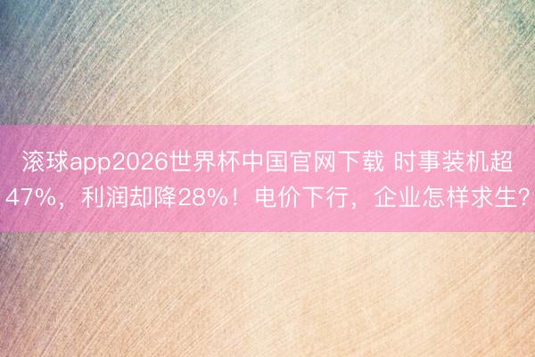 滚球app2026世界杯中国官网下载 时事装机超47%，利润却降28%！电价下行，企业怎样求生？