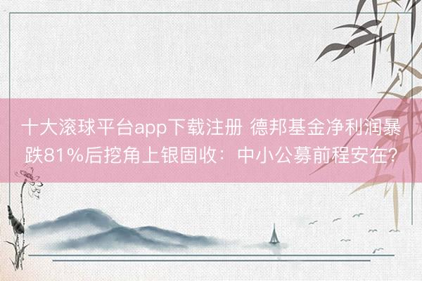 十大滚球平台app下载注册 德邦基金净利润暴跌81%后挖角上银固收：中小公募前程安在？