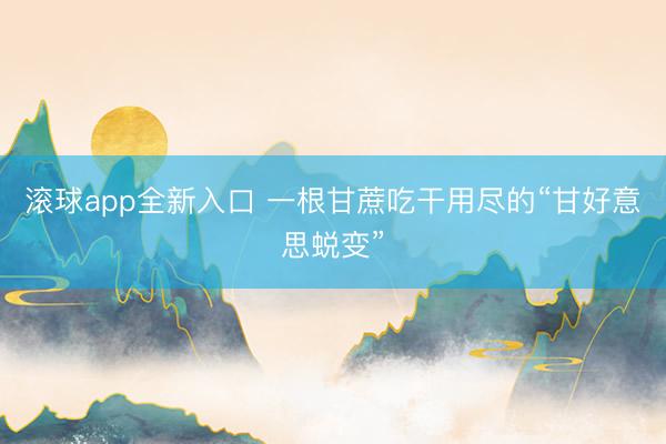 滚球app全新入口 一根甘蔗吃干用尽的“甘好意思蜕变”
