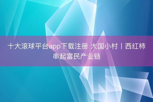 十大滚球平台app下载注册 大国小村丨西红柿串起富民产业链