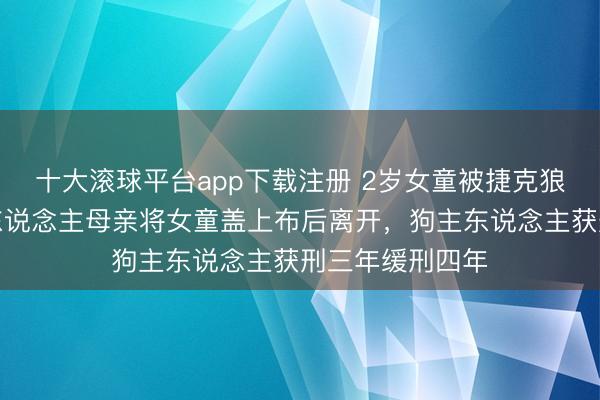 十大滚球平台app下载注册 2岁女童被捷克狼犬咬死，狗主东说念主母亲将女童盖上布后离开，狗主东说念主获刑三年缓刑四年